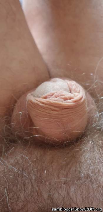 Photo of a third leg from sambloggs