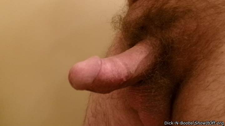 jackmeoffnow small stubby 4 inch dick boner fails to rise up - [8-2-2025-1420]