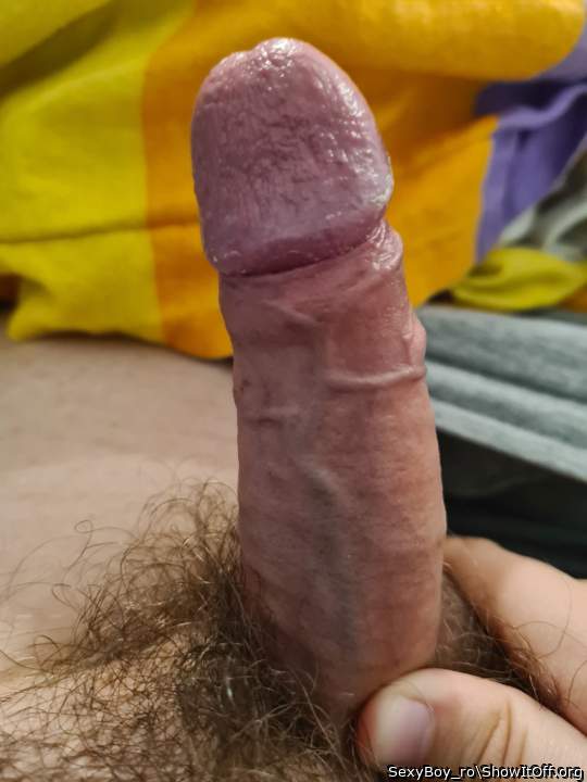 Comment what do you think about my dick
