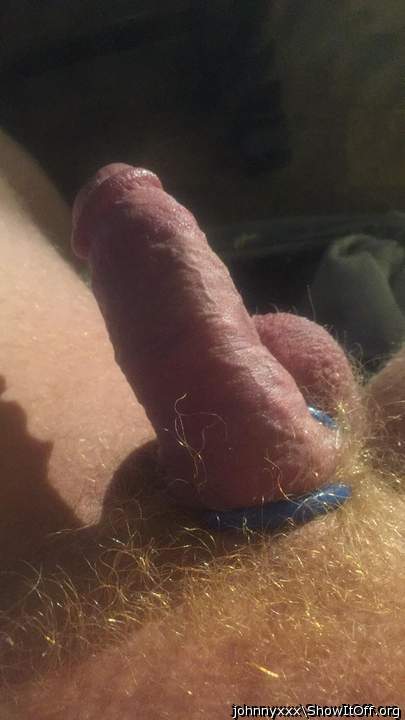 Photo of a pecker from johnnyxxx
