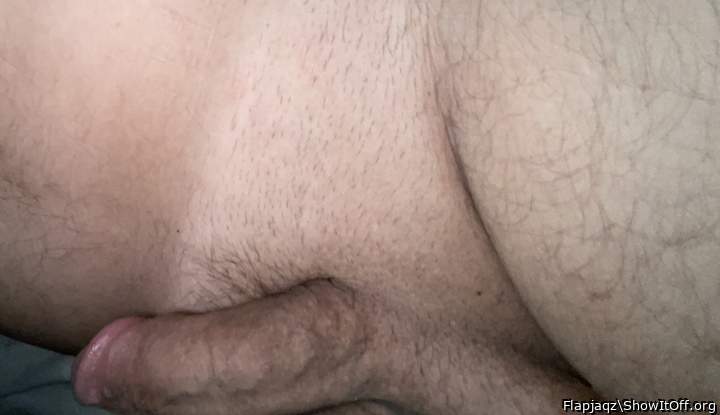 Photo of a cavalier from Flapjaqz