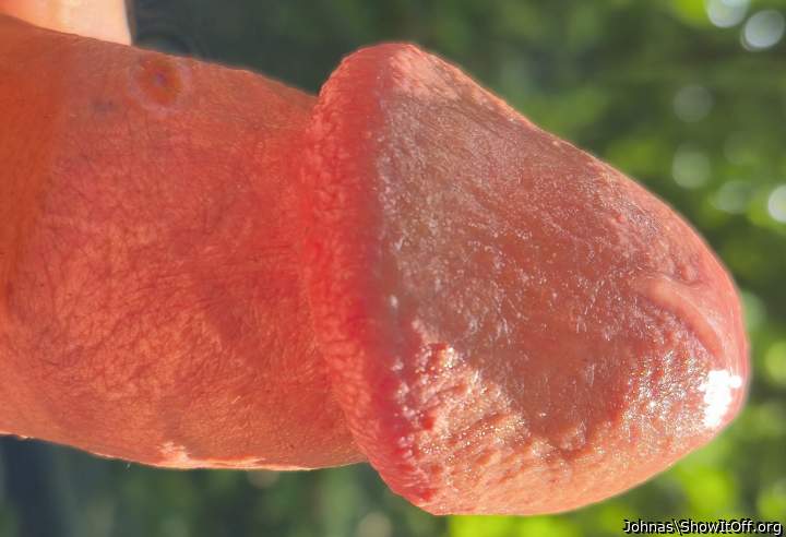 Awesome closeup    