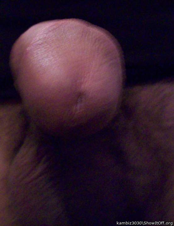 Photo of a lizard from kambiz3030