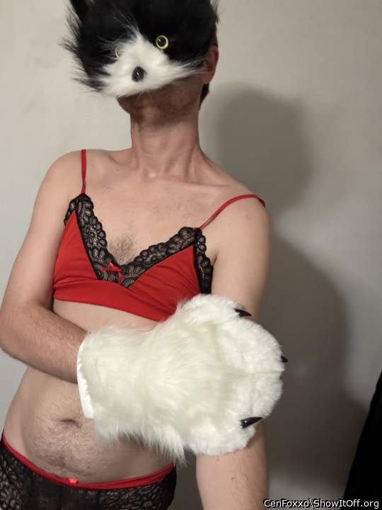 Something new arrived in the mail ;3