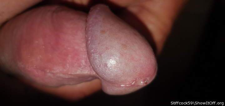 Photo of a penis from Stiffcock59