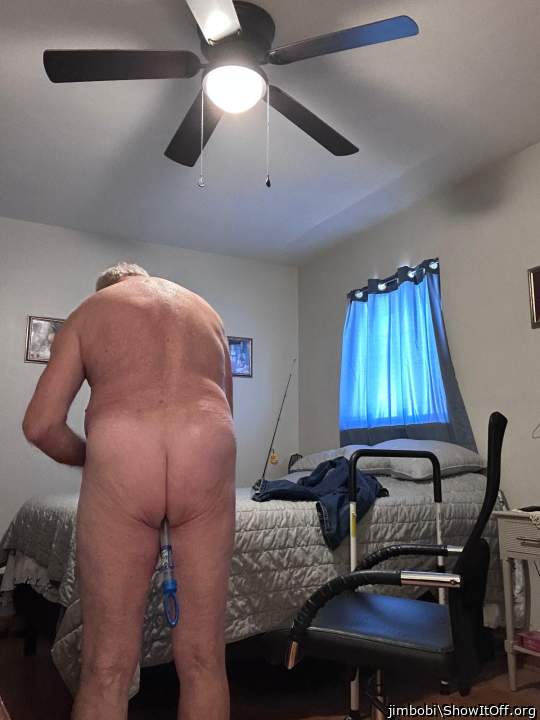 Photo of a hot dog from jimbobi