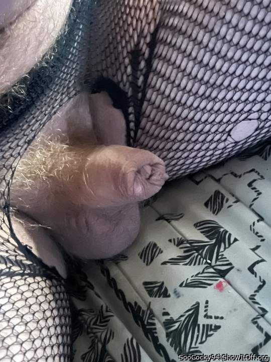 Photo of a ram rod from SooCocky94