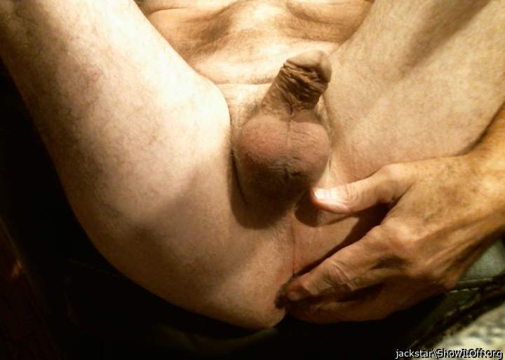 Photo of a python from jackstar