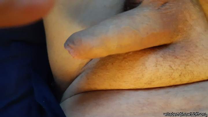 Photo of a python from wilsden