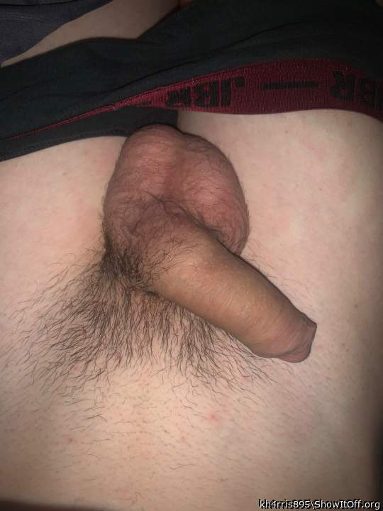 Photo of a lizard from kh4rris895