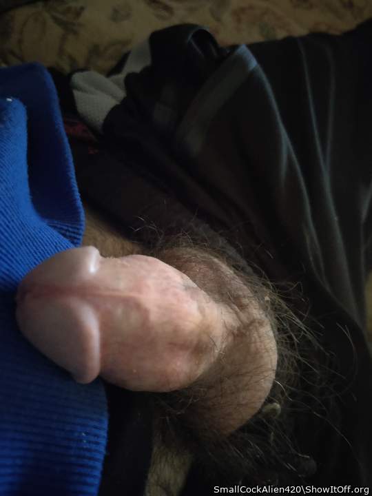 Photo of a penile from SmallCockAlien420