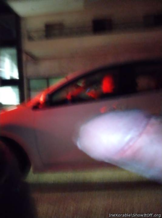 Photo of a rooster from IneXorable