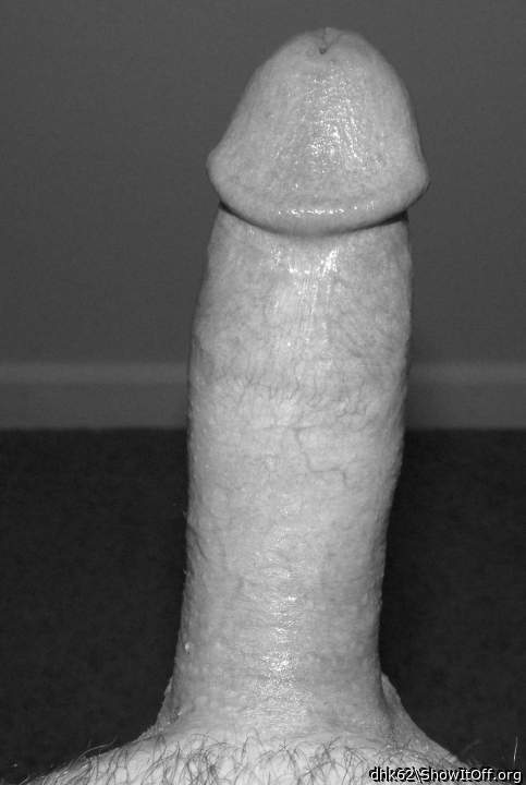 Photo of a cavalier from dhk62