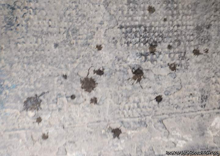 Sperm on the ground in public