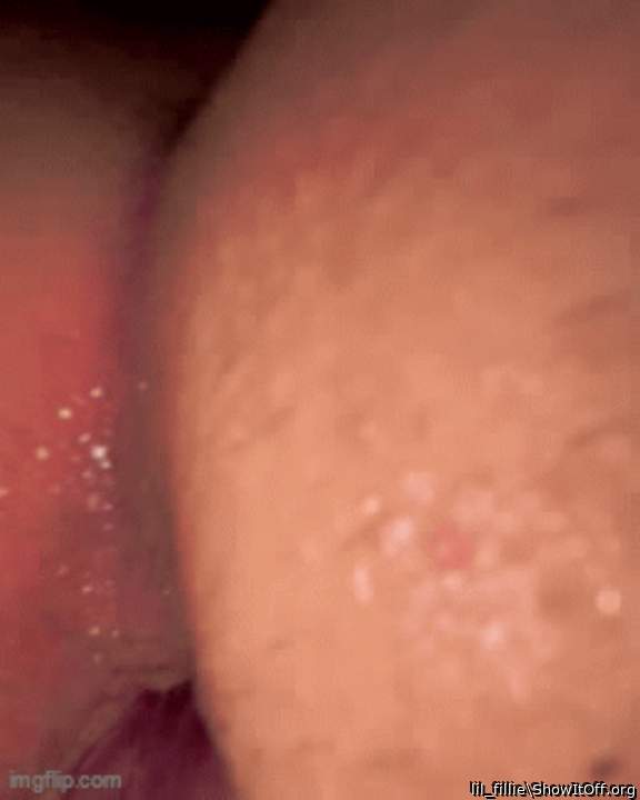 Photo of a cavalier from lil_fillie