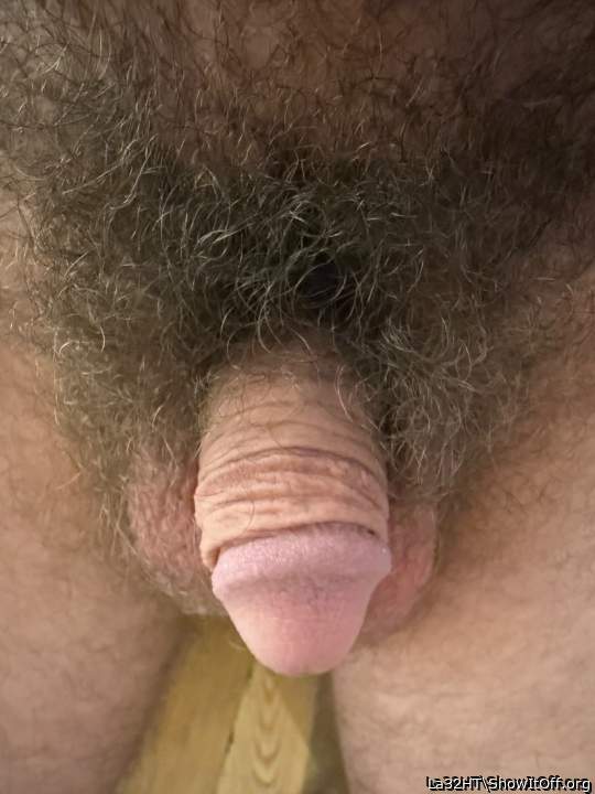Photo of a meat stick from La32HT