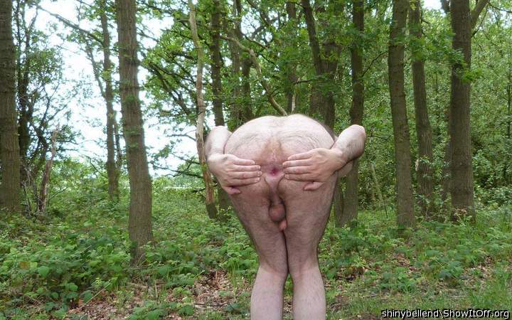 Showing Off In The Forest