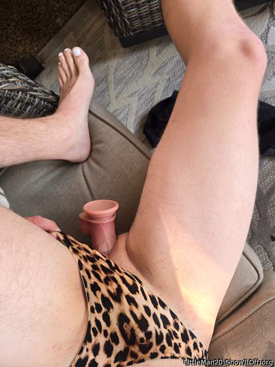 Photo of a stiffie from LittleMan20