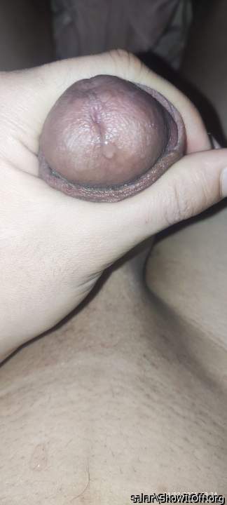 Photo of a power tool from salar