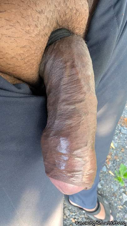 Photo of a short leg from Kanuking