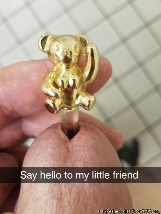 Say hello