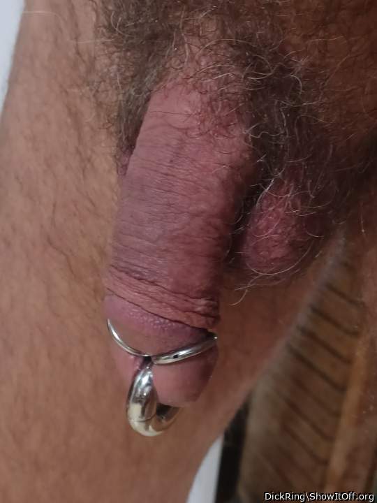 Photo of a pocket rocket from DickRing