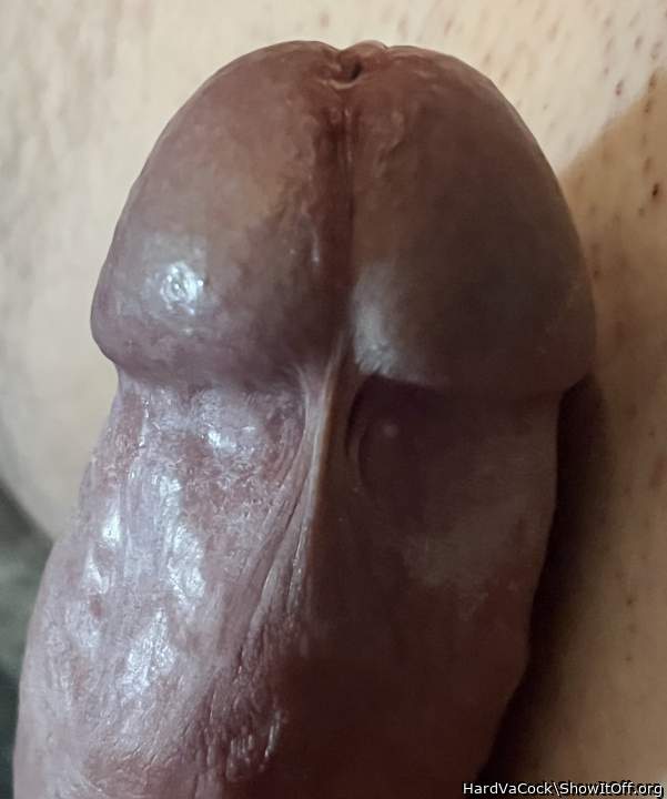 Photo of a schlong from HardVaCock