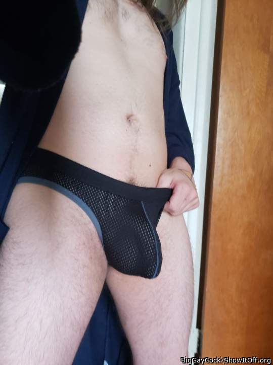 Photo of a weasel from BigGayCock