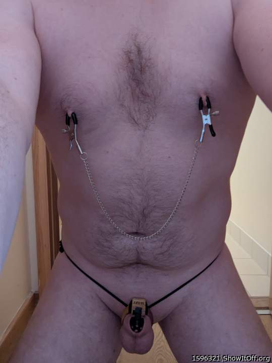 Photo of a pecker from 1596321