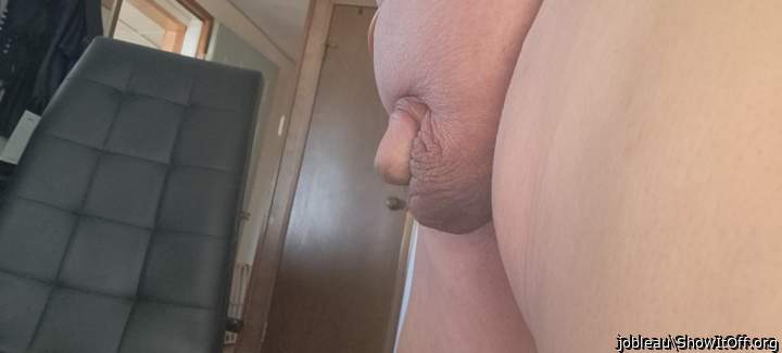 Photo of a lizard from jobleau