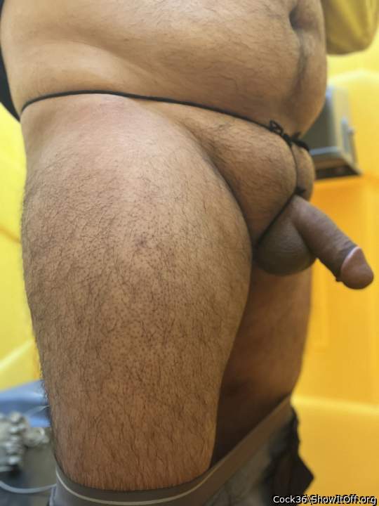 Photo of a lizard from Cock36