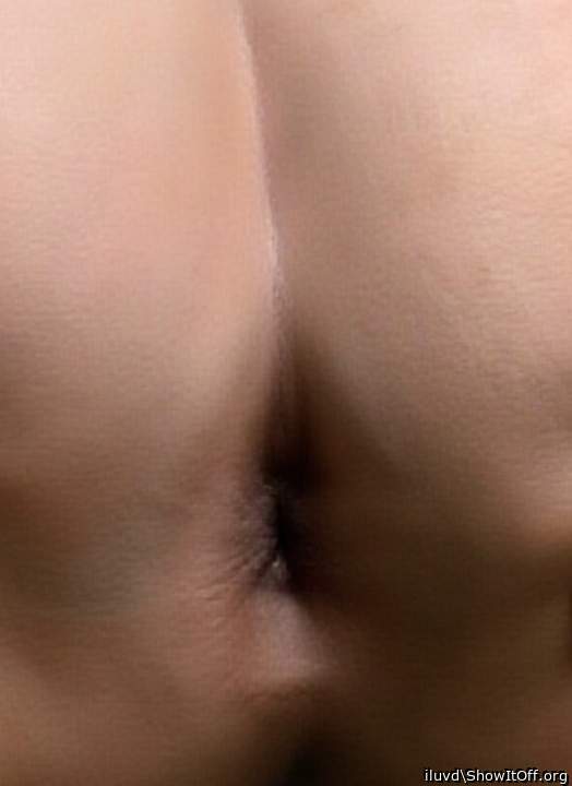 Photo of a weasel from iluvd