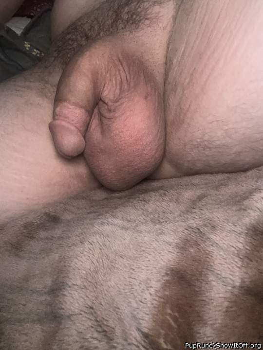 Testicles Photo from PupRune