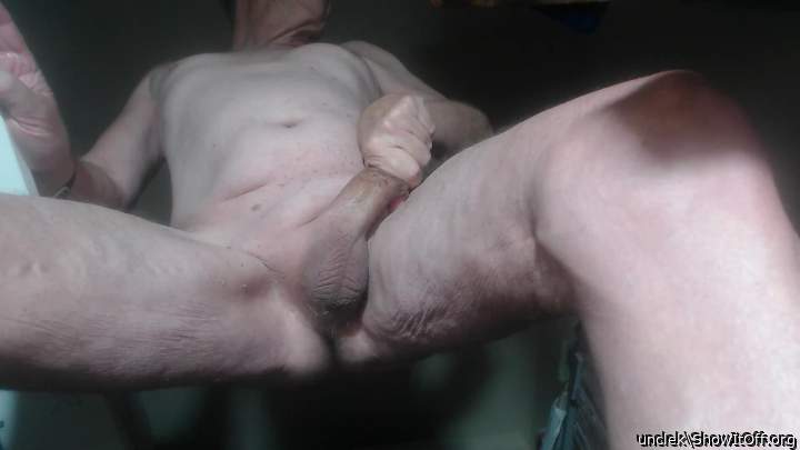 Photo of a lizard from unclek