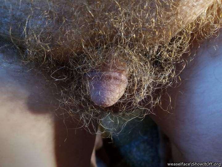 very hairy I like it more please