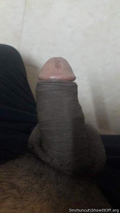 Photo of a bald-headed mouse from 5inchuncut