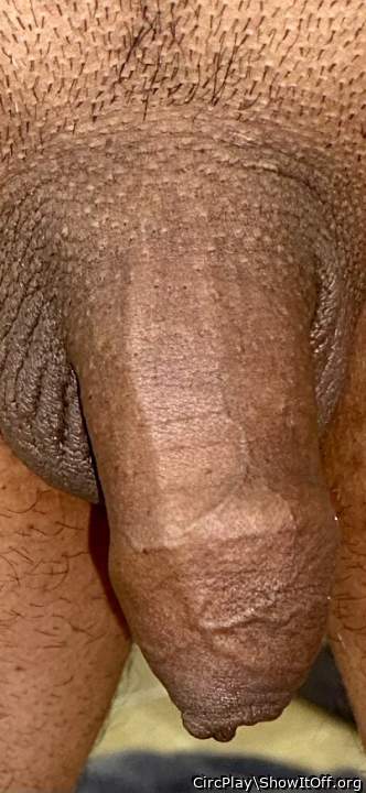 Photo of a dong from CircPlay