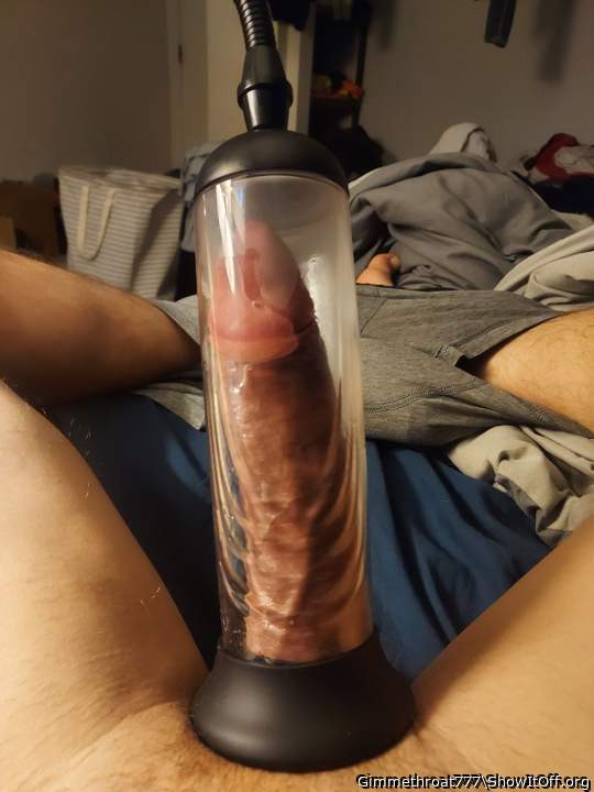 Photo of a rooster from Gimmethroat777