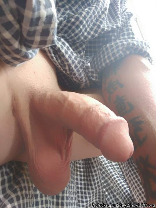 Photo of a cock from 1hungcock4u