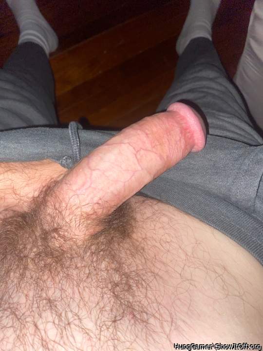 Photo of a middle leg from HungGamer