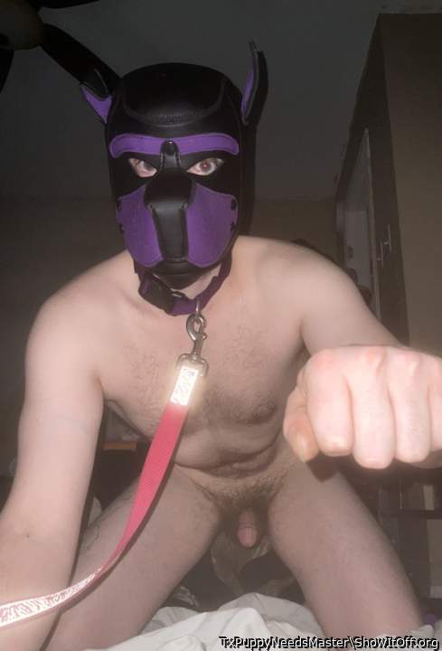 Photo of a hot dog from TxPuppyNeedsMaster