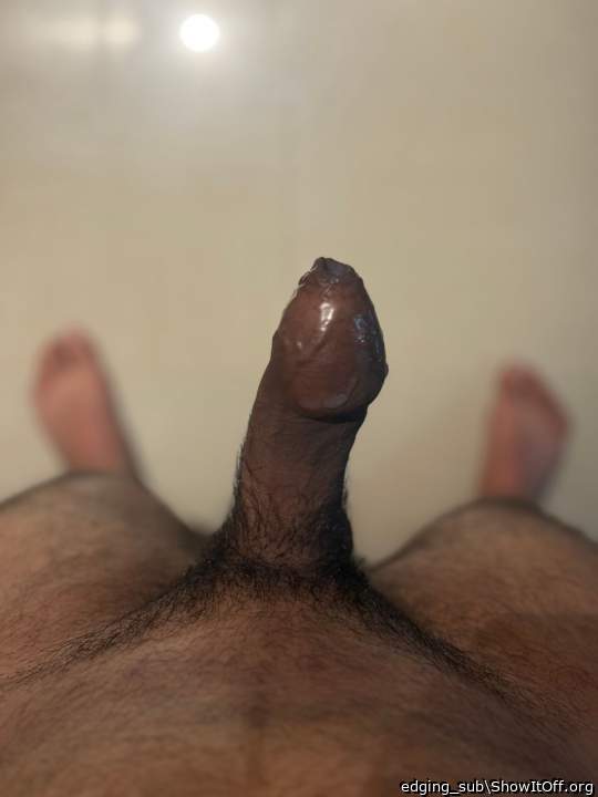 My shiny cock