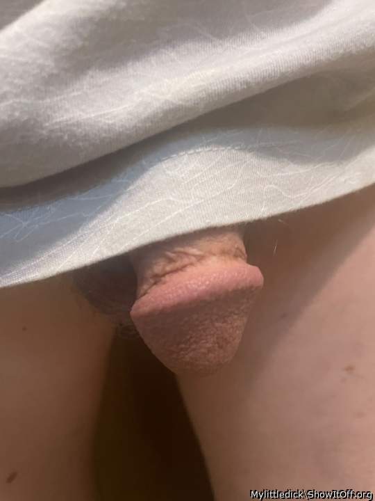 Photo of a wiener from Mylittledick