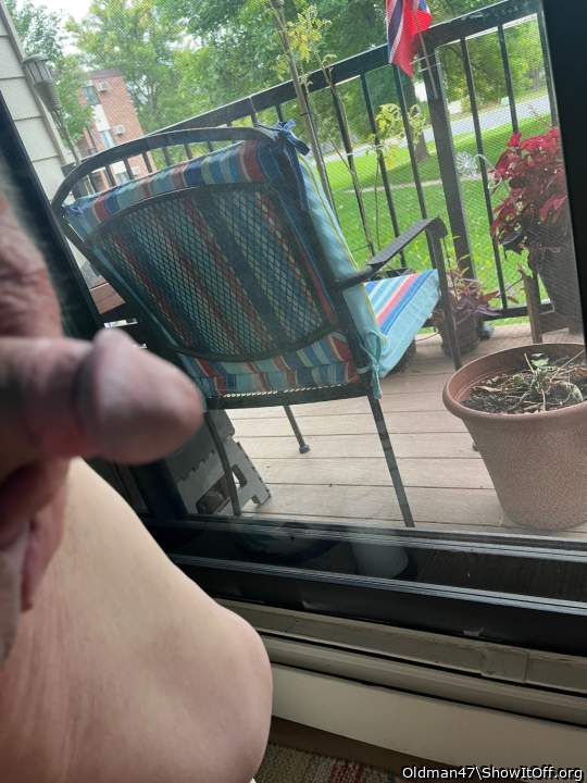 Photo of a bald-headed mouse from Oldman47