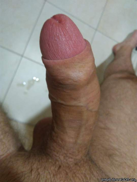 Photo of a cock from tmtptt