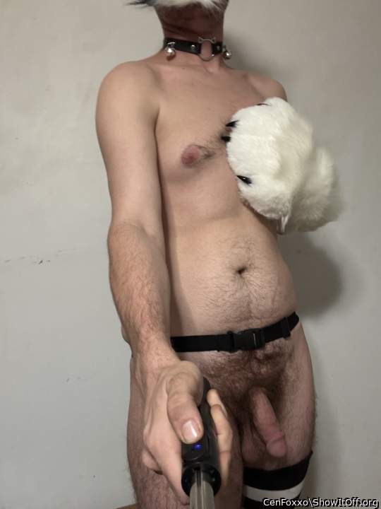 Adult image from CenFoxxo