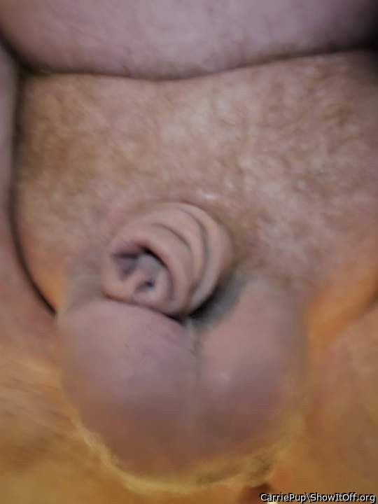 Testicles Photo from CarriePup