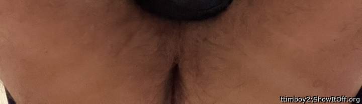 Photo of a bat from ttimboy2