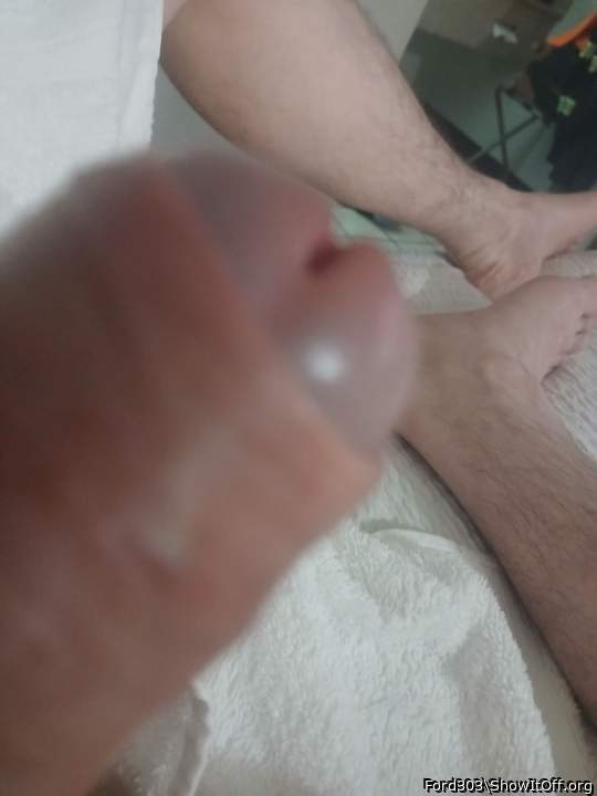 Photo of a snake from Ford303