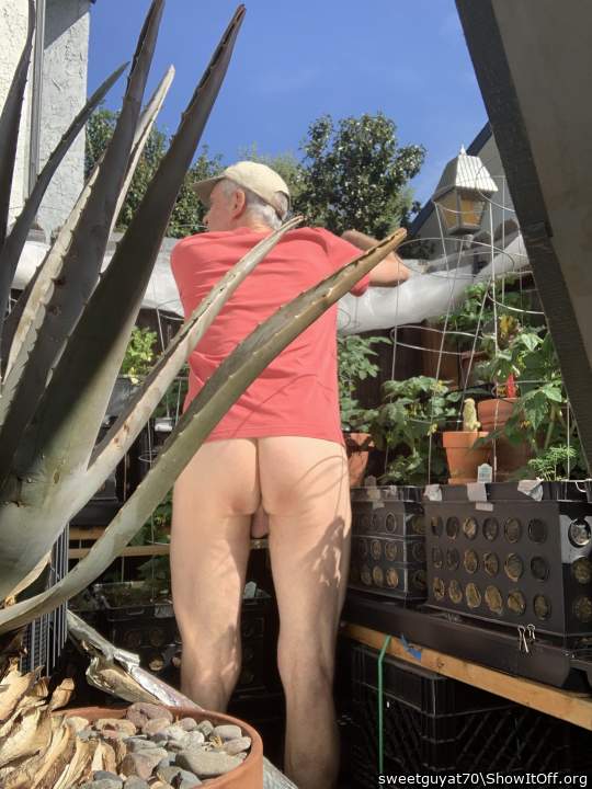 Photo of a schlong from sweetguyat70